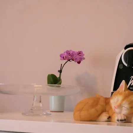 Kety Apartment